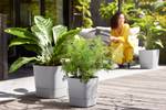 greensense aqua care quadrat 30cm light beton